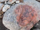 48 Milarepa Rock Footprint From Just After Shiva Tsal On Mount Kailash Outer Kora Just a few minutes after leaving Shiva Tsal, the trail passes a rock with a footprint of Milarepa.